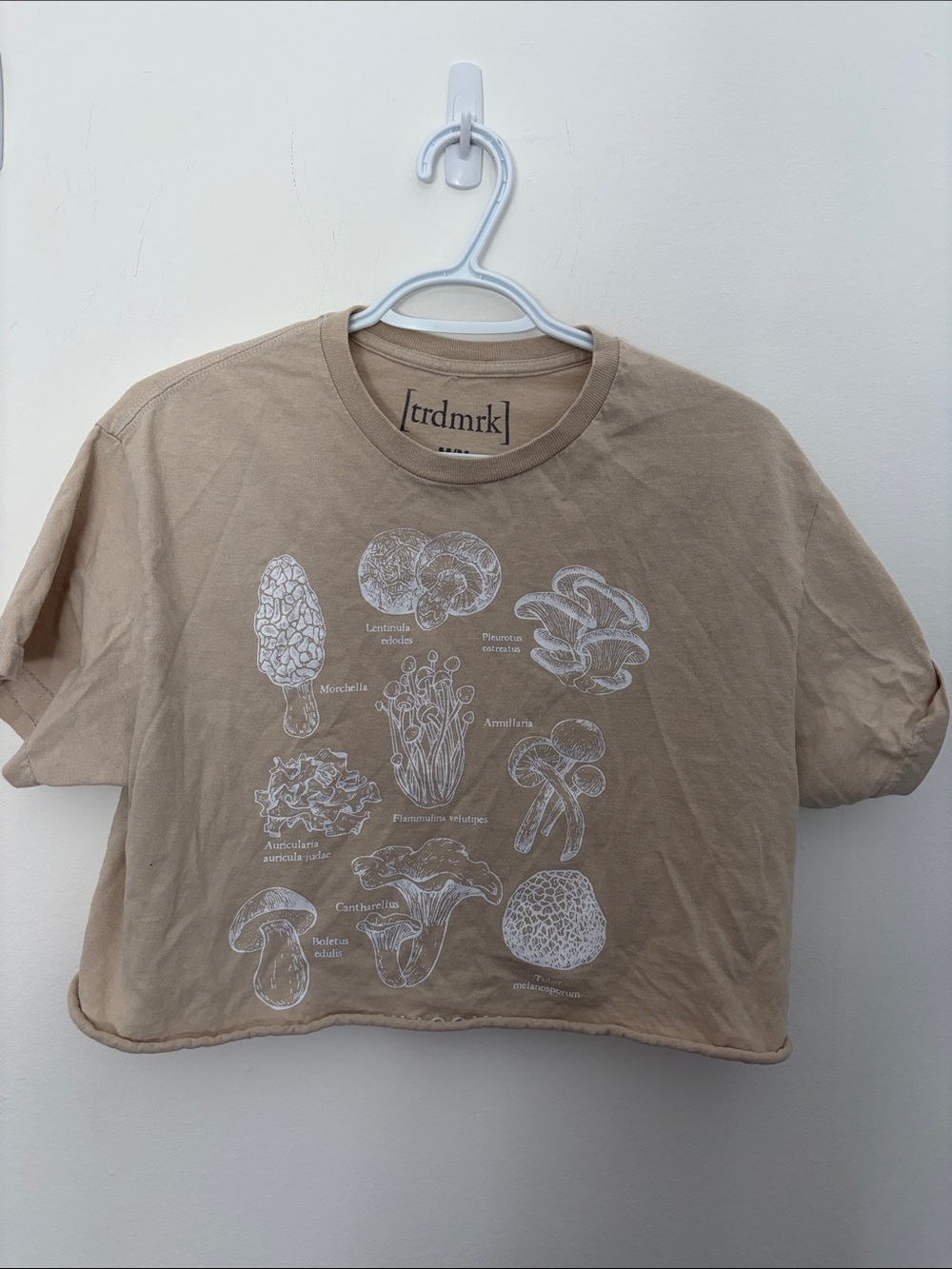 Women's Short Sleeve Mushroom Graphic Tee in Tan